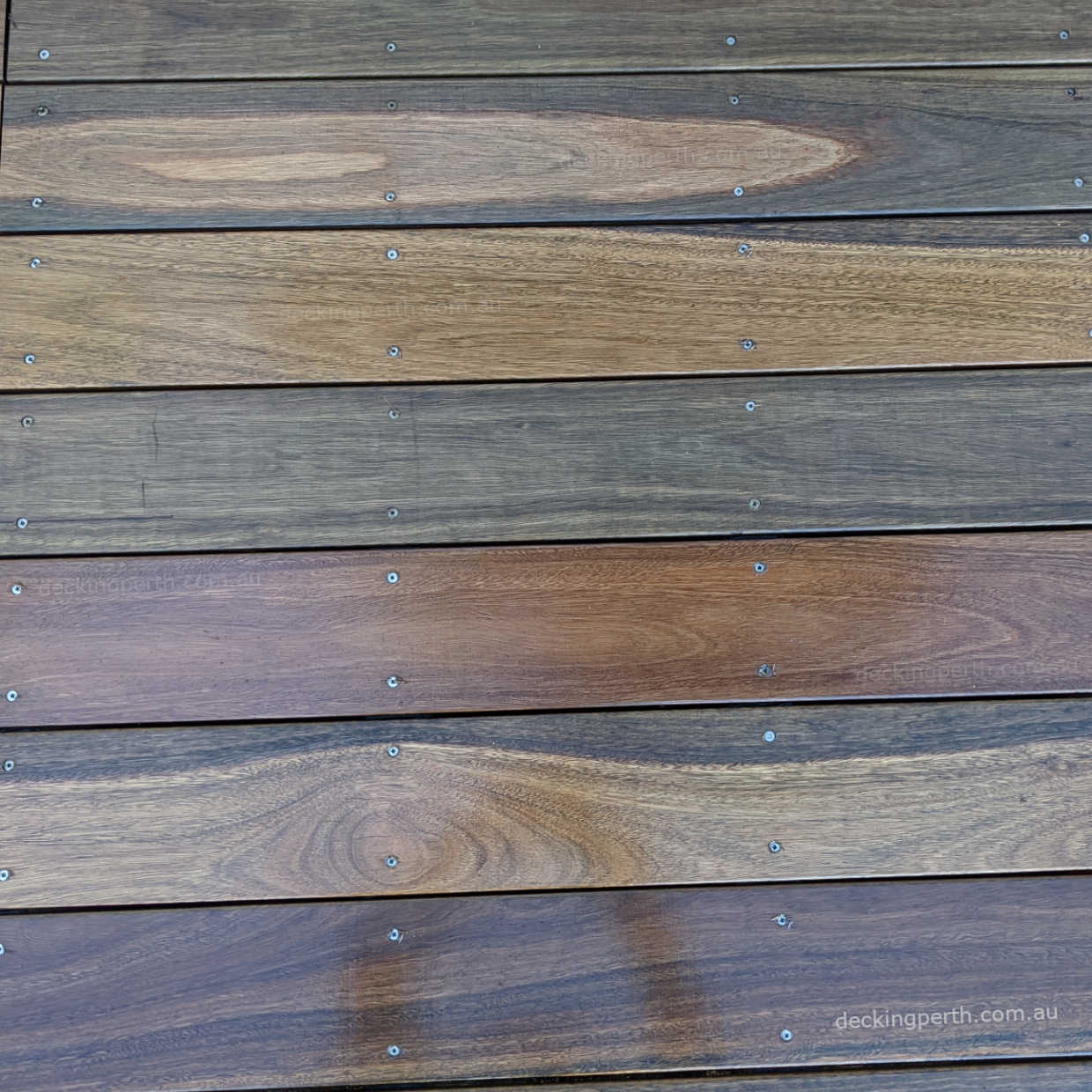 SPOTTED GUM Timber Decking