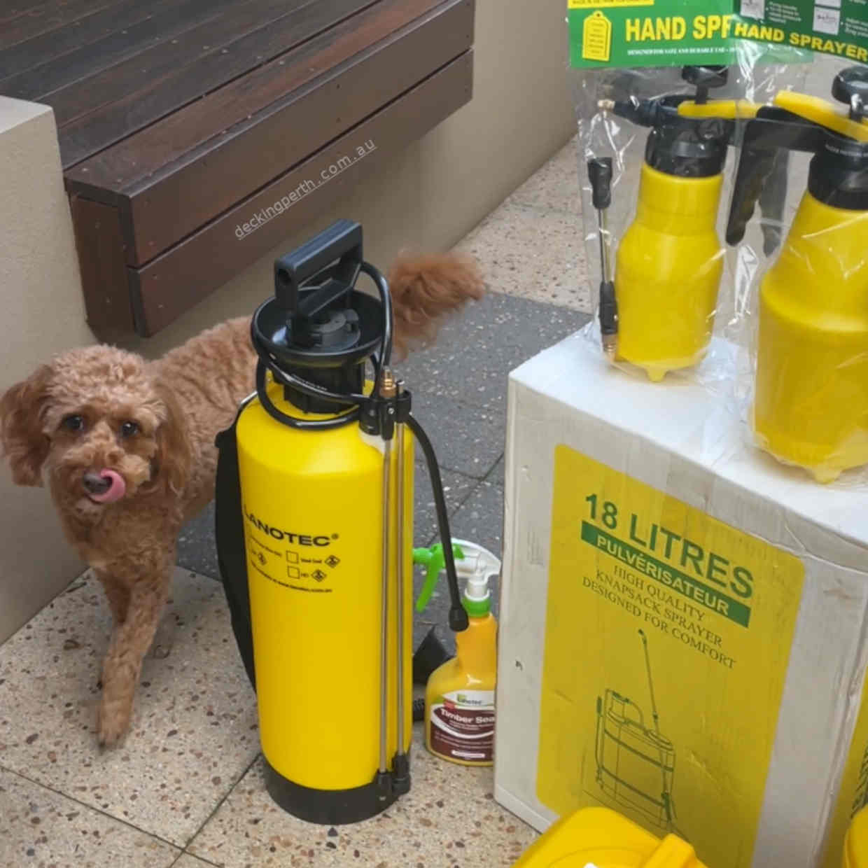 Lanotec_8_litre_Sprayer_Decking_Perth