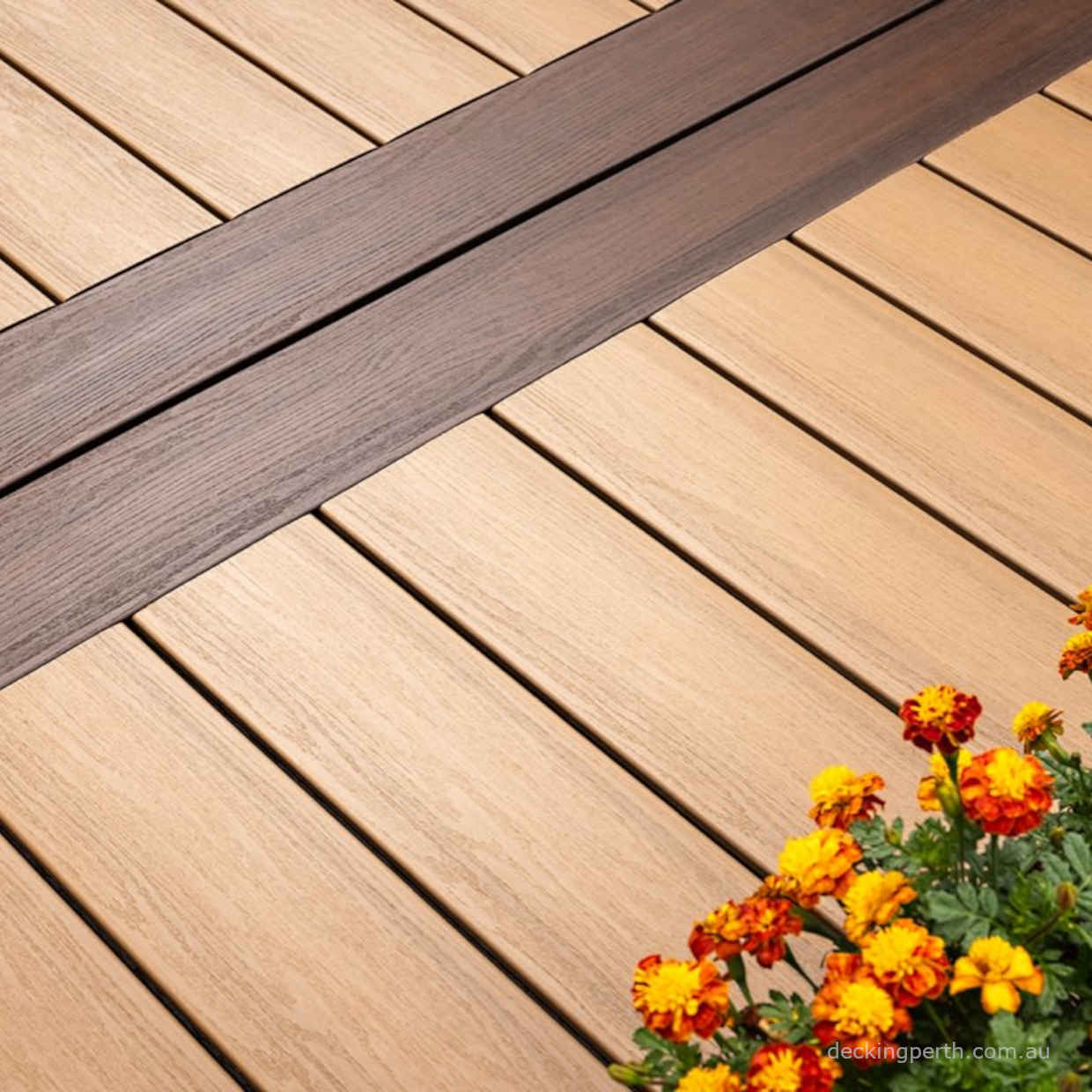 Moisture_Shield_Meridian_Shoreside_Composite_Decking_Perth