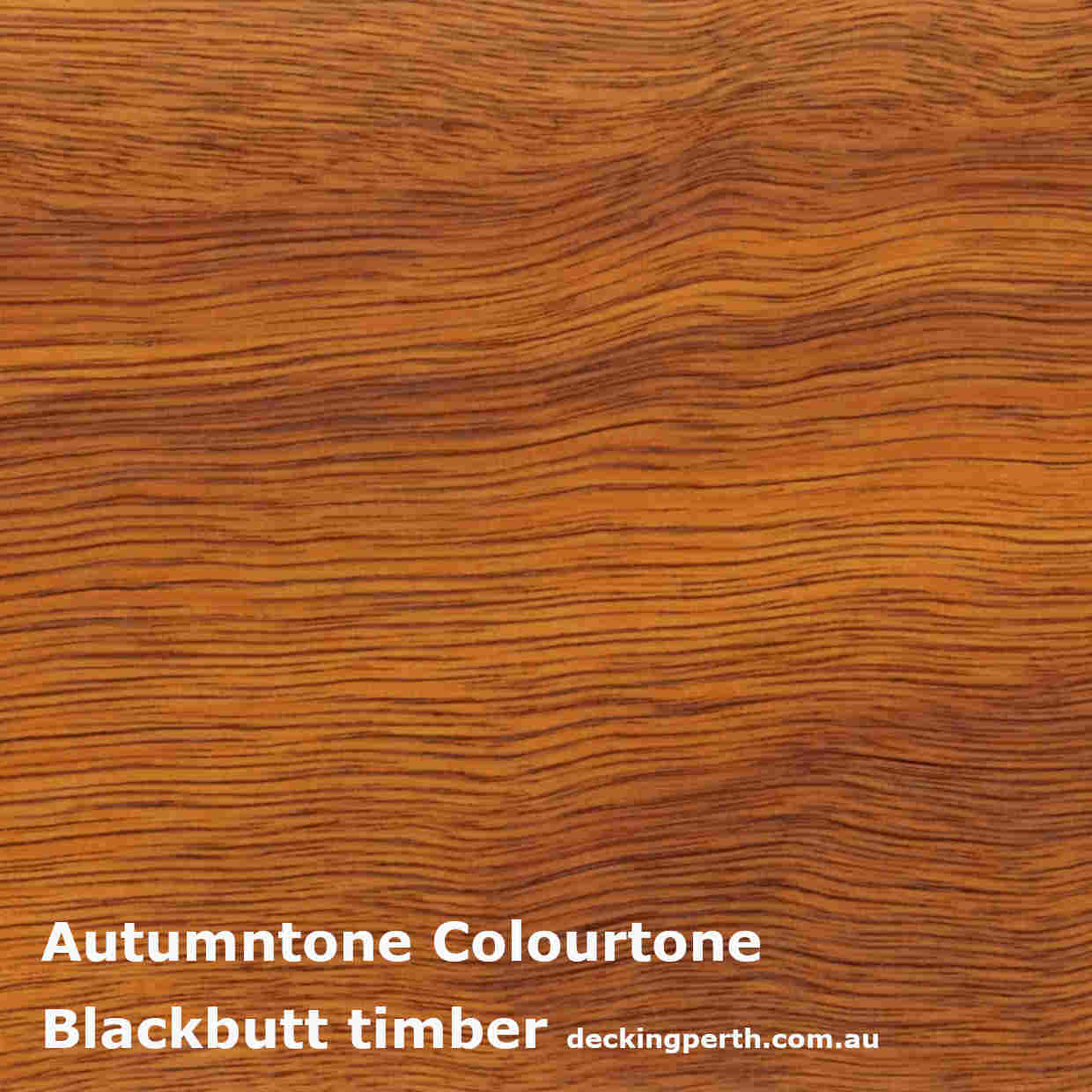 Cutek_Colourtone_Swatch_Autumntone