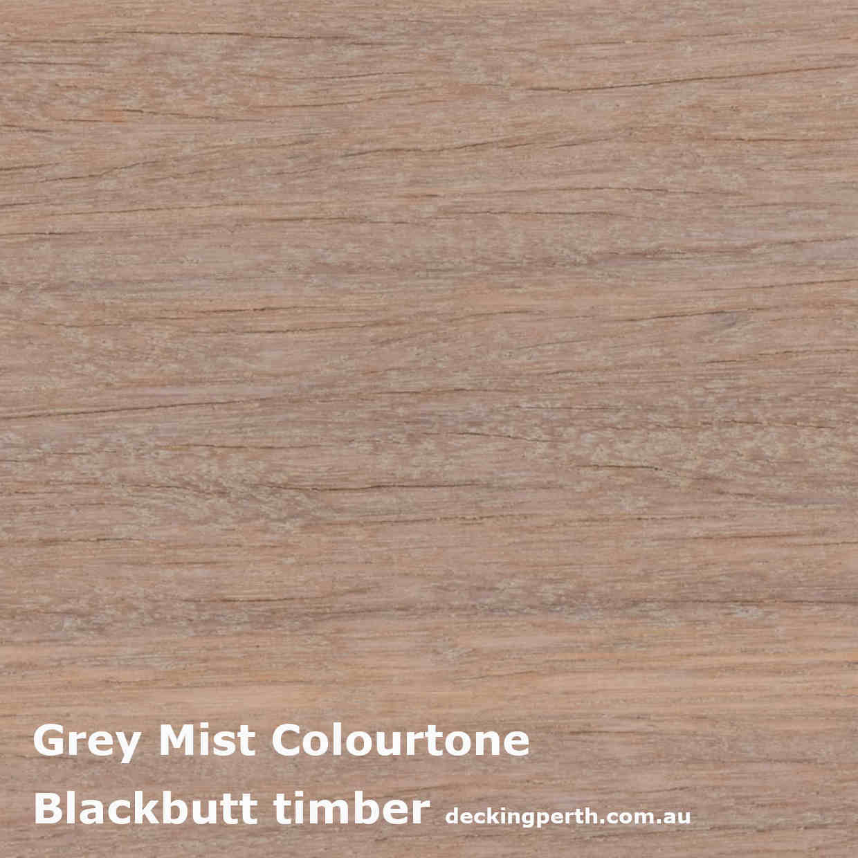 Cutek_Colourtone_Swatch_Grey_mist