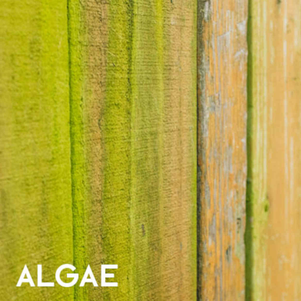 EQUISOL_Null_Algae_Killer_Decking_Perth