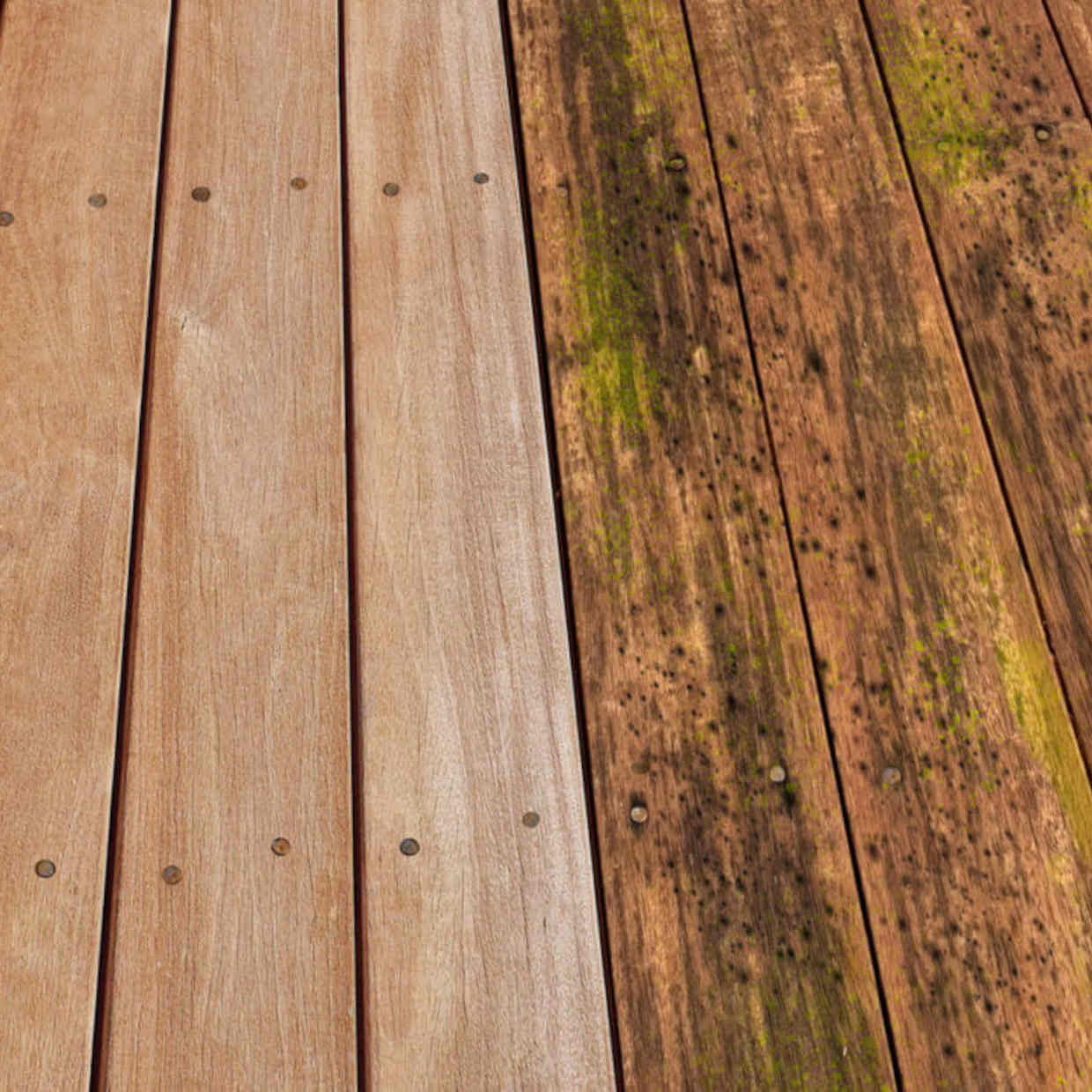 EQUISOL_Null_1_Litre_Mould_Killer_Decking_Perth