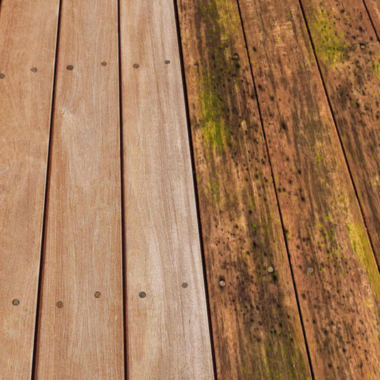 EQUISOL_Null_1_Litre_Mould_Killer_Decking_Perth