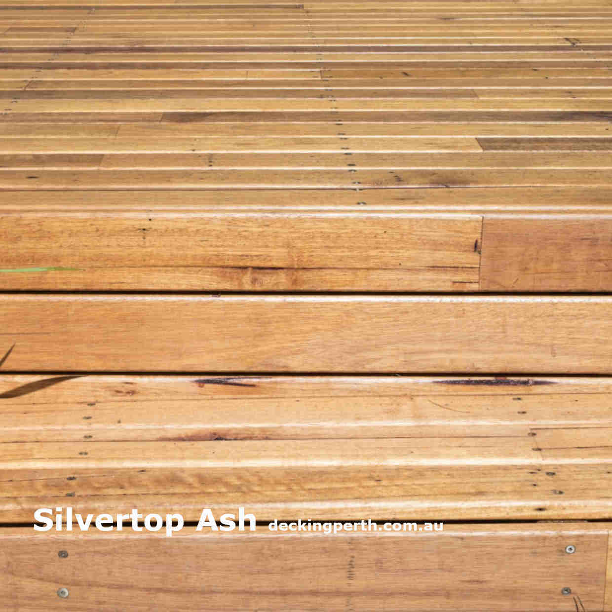 Silvertop_Ash_Timber_Decking_Perth