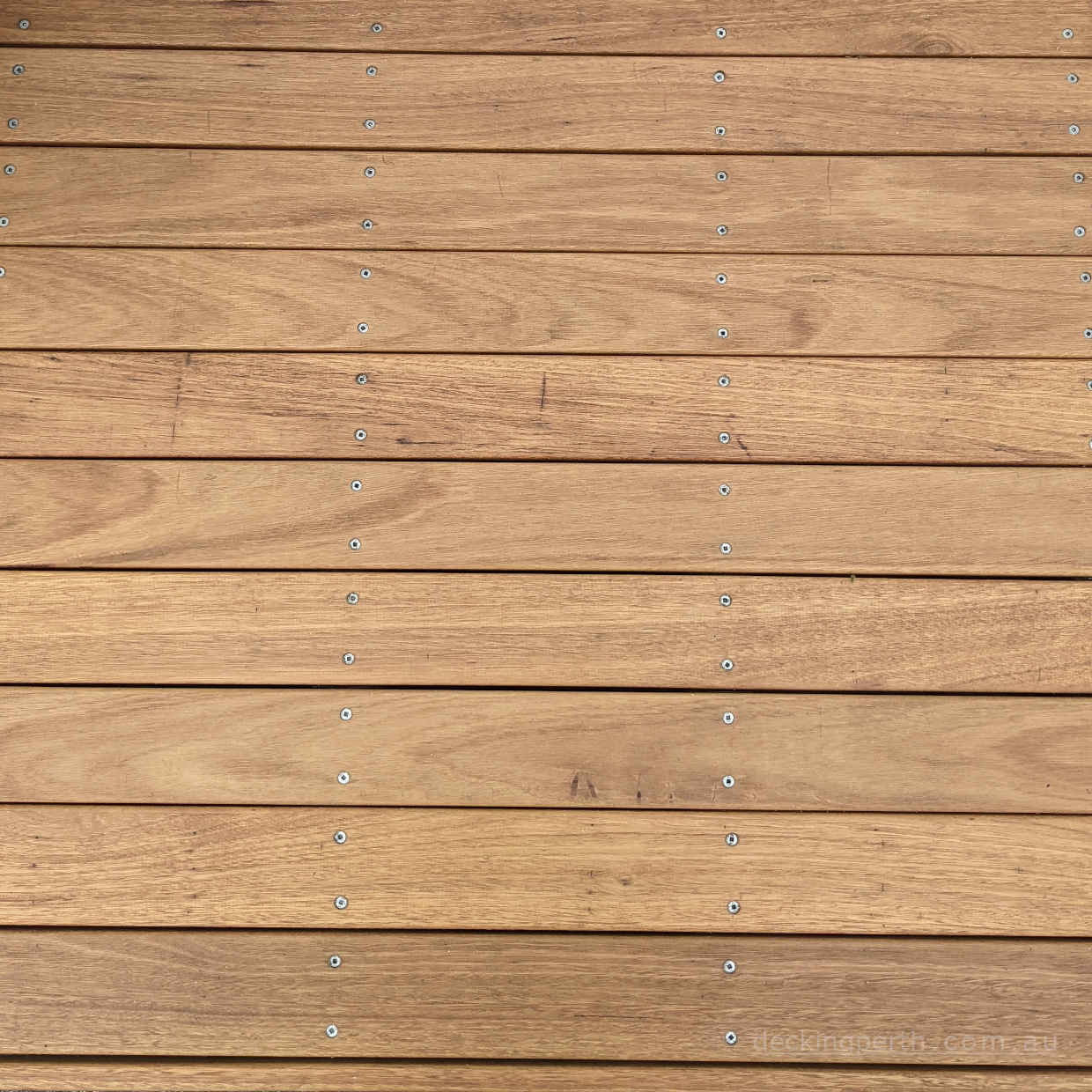 BLACKBUTT Timber Decking