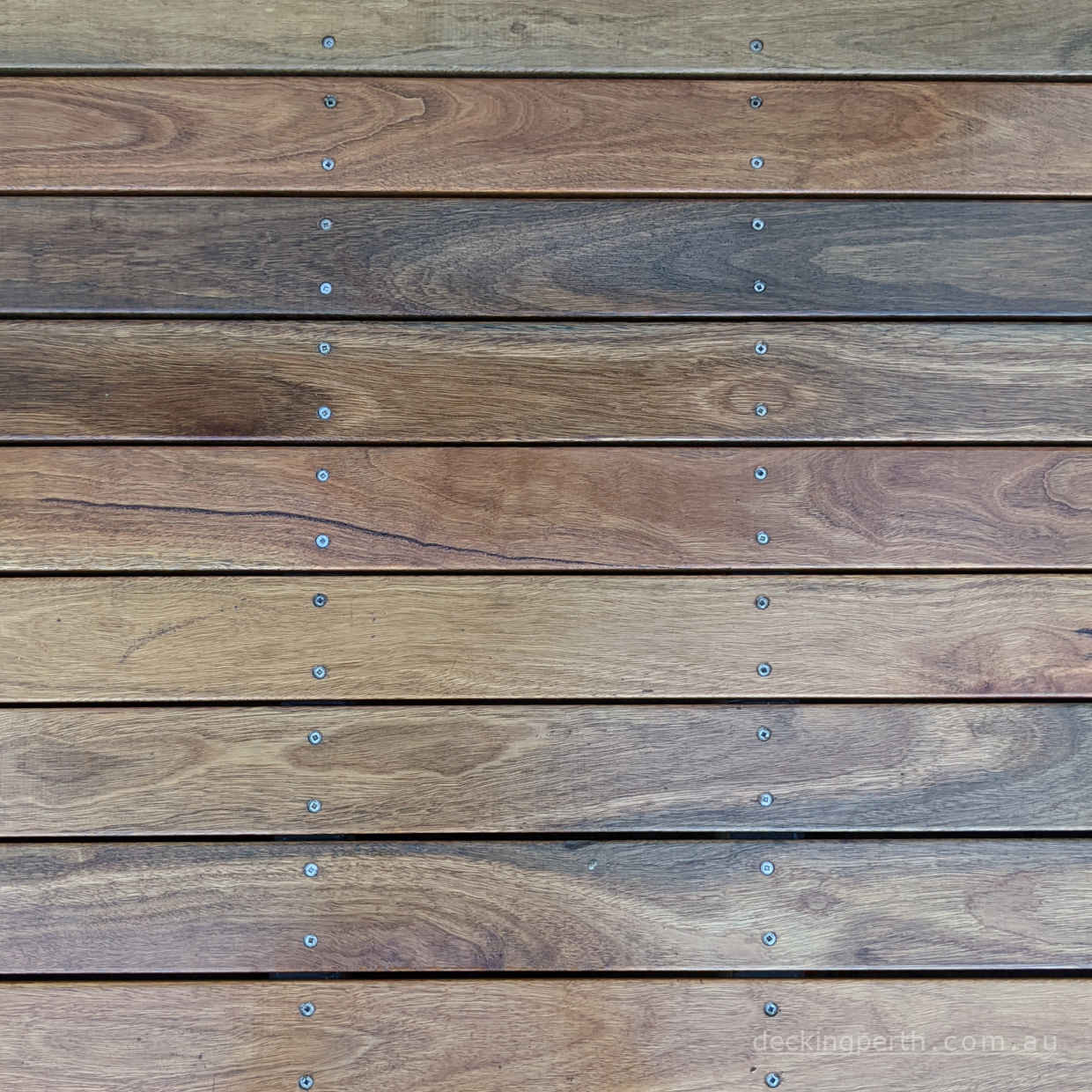 SPOTTED GUM Timber Decking