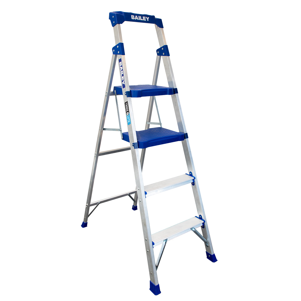 BAILEY - Made To Order Extreme Industry Ladder Twin Fibreglass Platform