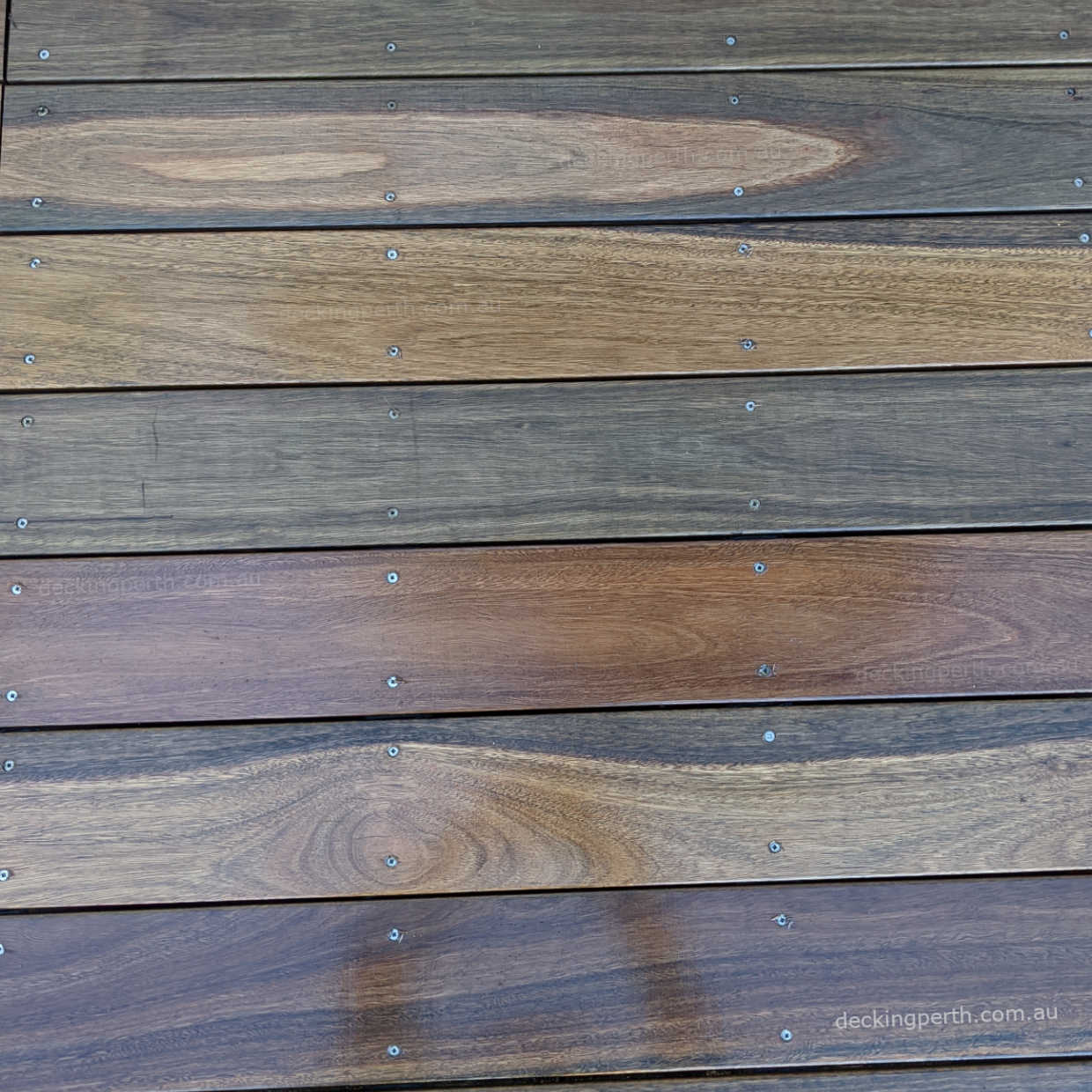 Spotted_Gum_Decking_135mm_Decking_Perth