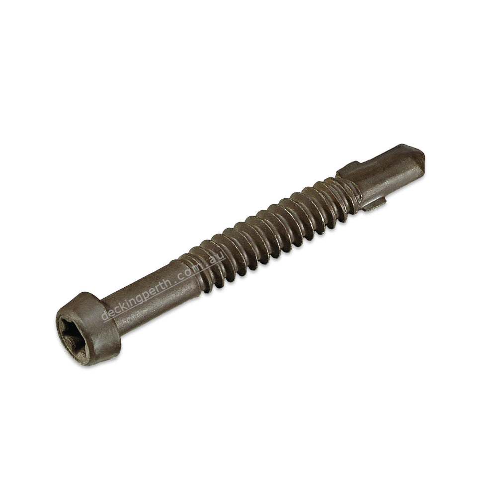STARBORN - Cap-Tor 410SS Screws Metal 10g x 40mm packet of 100 ...
